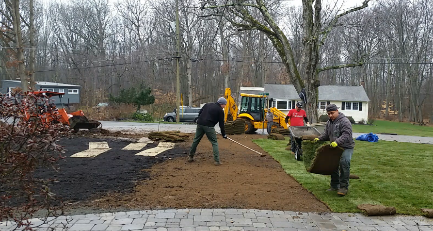 new sod lawn