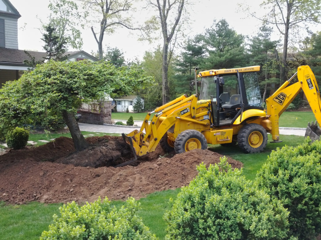 Moving a tree with a backhoe