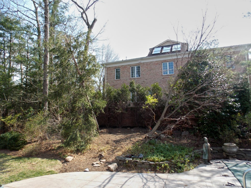 Hurricane sandy tree repair